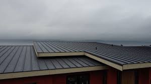 Best Green or Eco-Friendly Roofing Solutions  in New Market, VA